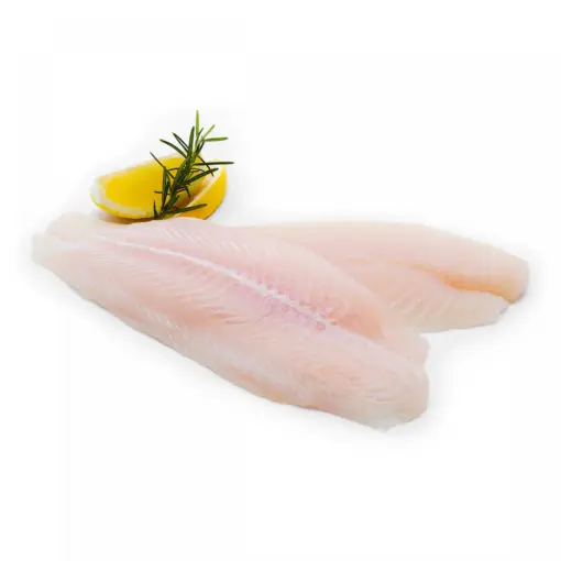 Dory Fish